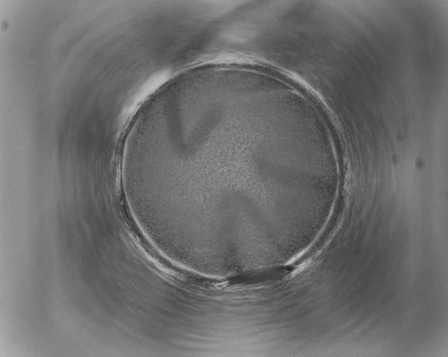 X0000052981367200507221317