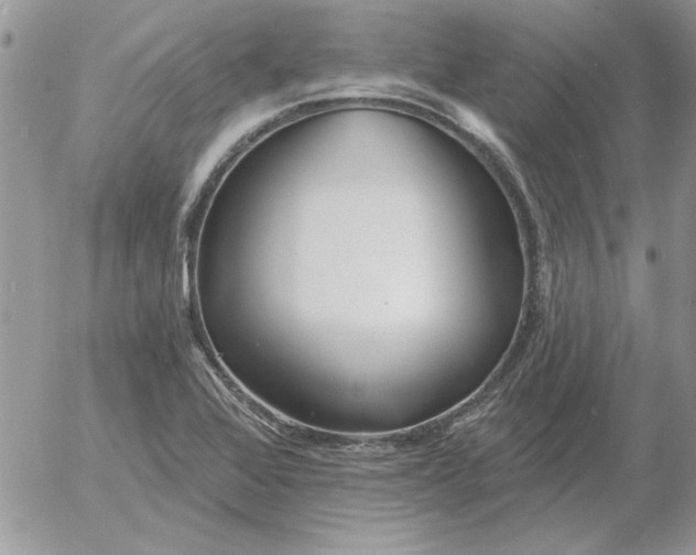 X0000052981368200507221317