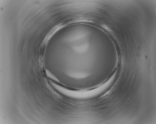 X0000052981369200507221317