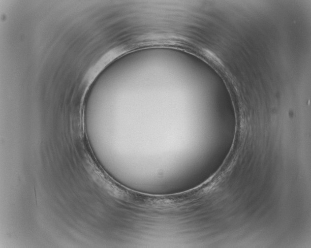 X0000052981370200507221317