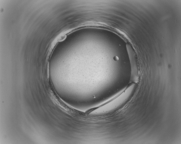 X0000052981371200507221317