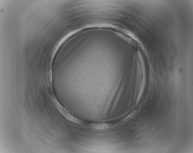 X0000052981372200507221317