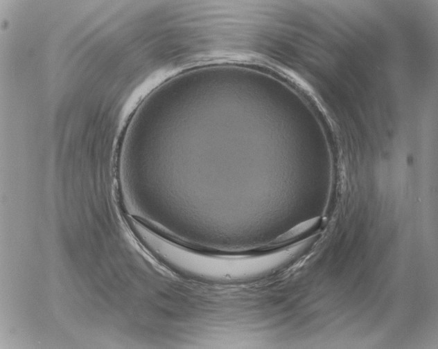 X0000052981373200507221317