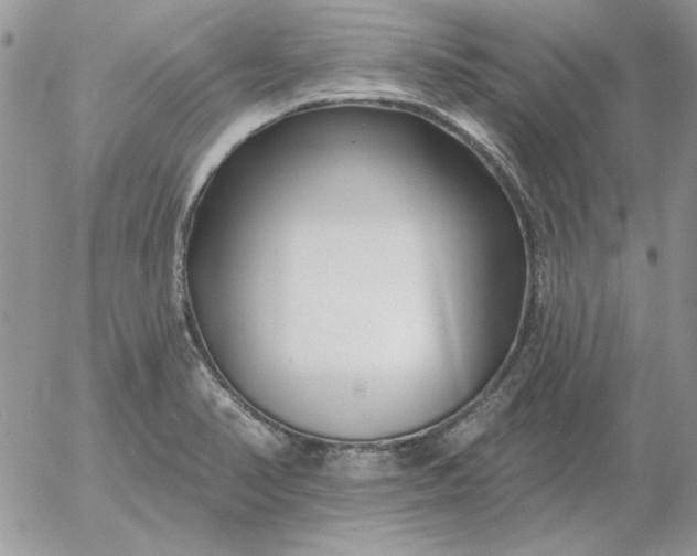 X0000052981374200507221317