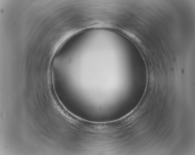 X0000052981375200507221317