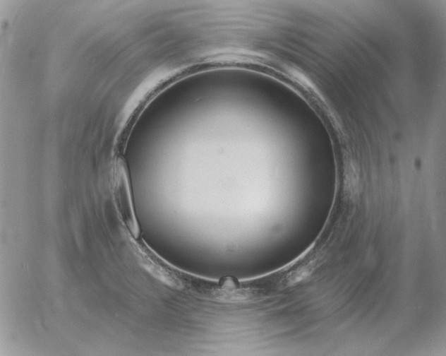 X0000052981376200507221317