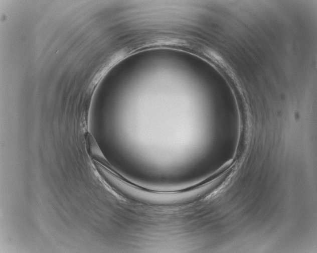 X0000052981377200507221317