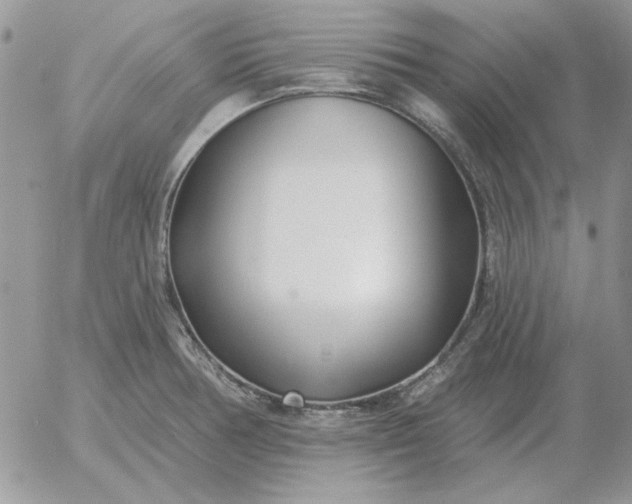 X0000052981378200507221317