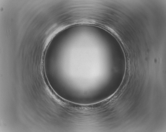 X0000052981379200507221317