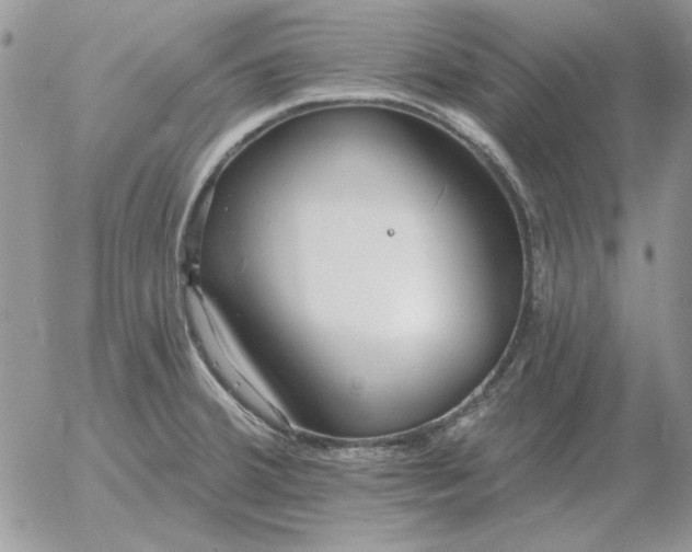 X0000052981380200507221317