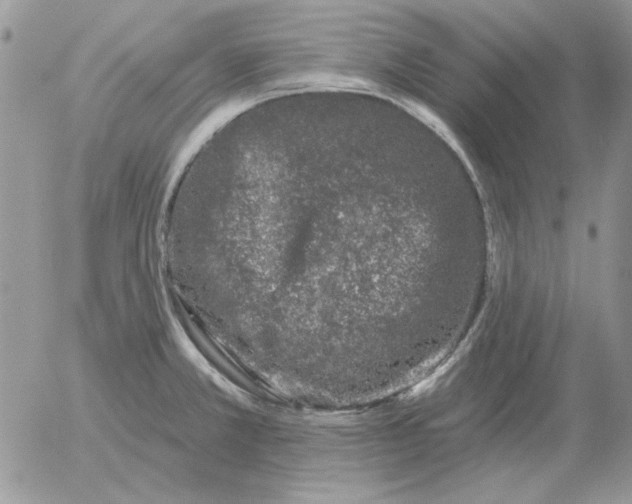 X0000052981381200507221317