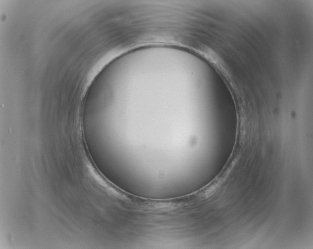 X0000052981382200507221317