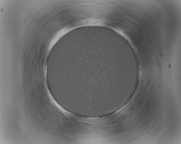 X0000052981383200507221316