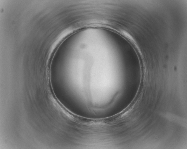 X0000052981384200507221316