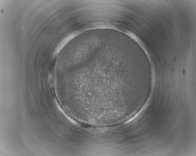 X0000052981385200507221316