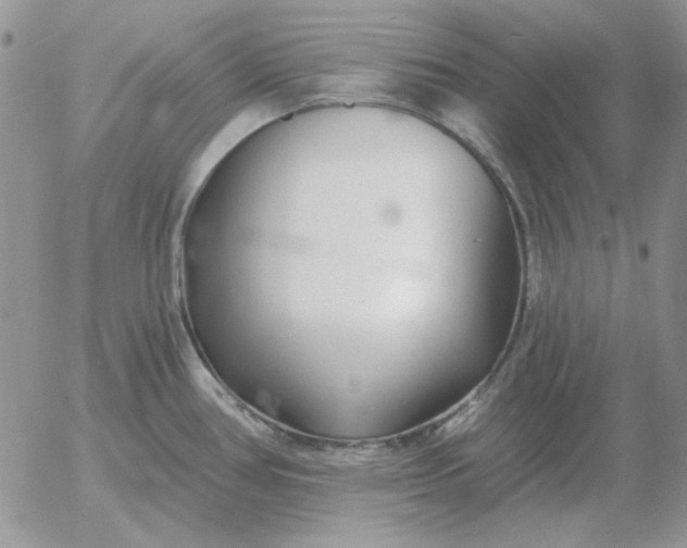 X0000052981386200507221316