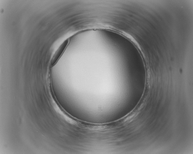 X0000052981387200507221316