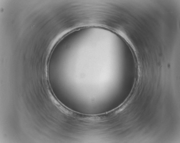 X0000052981388200507221316