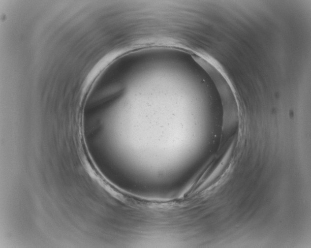 X0000052981389200507221316