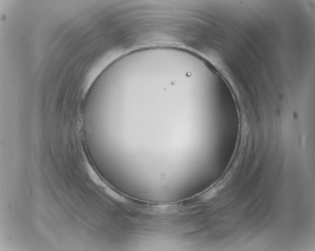 X0000052981390200507221316