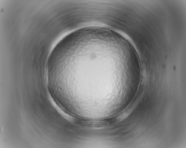 X0000052981391200507221316