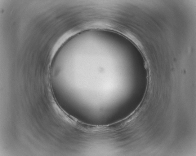 X0000052981392200507221316