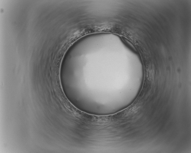 X0000052981393200507221316