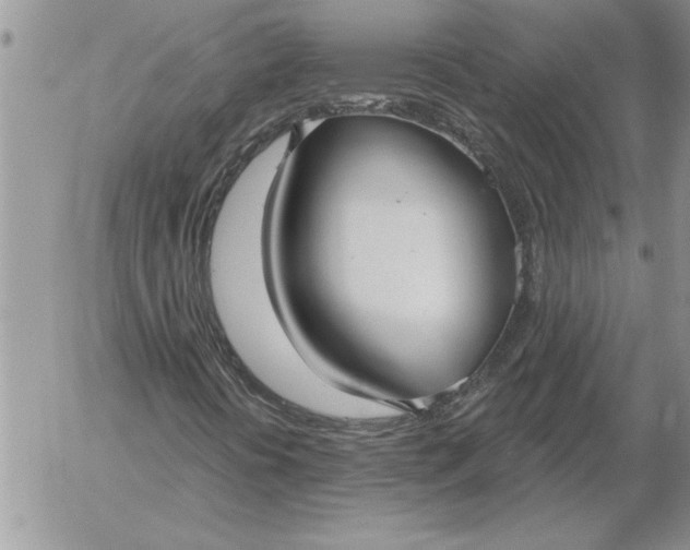 X0000052981394200507221316