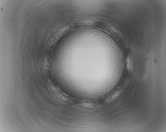 X0000052981395200507221316