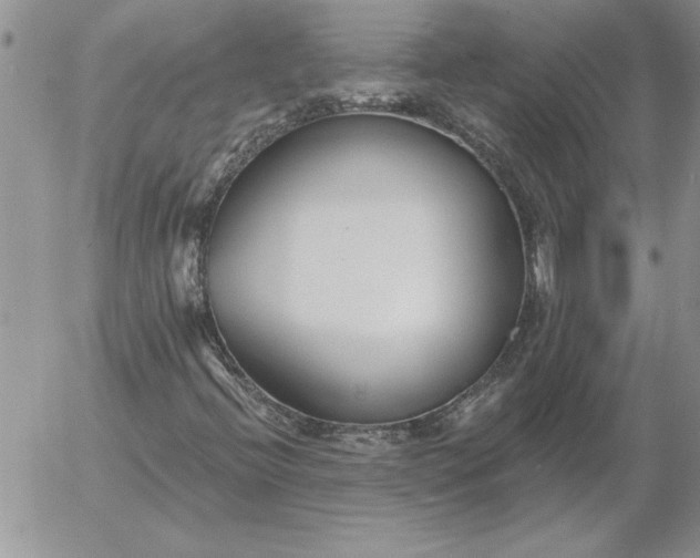 X0000052981396200507221316