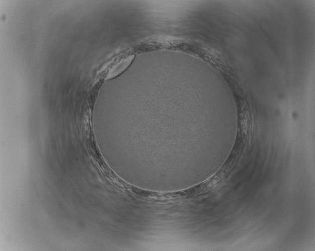 X0000052981397200507221316