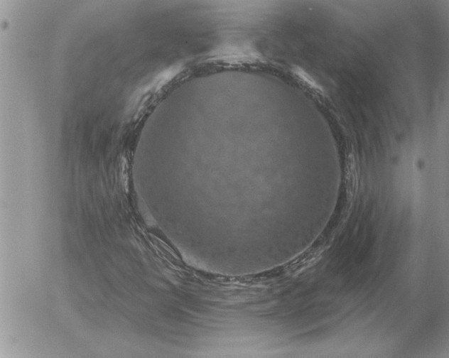 X0000052981398200507221316