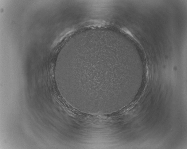 X0000052981399200507221316