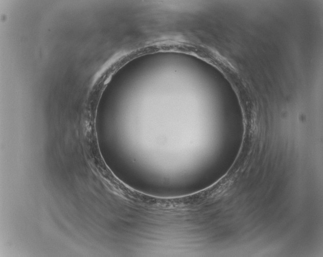 X0000052981400200507221316