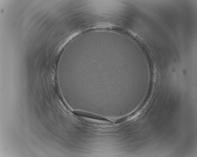 X0000052981401200507221316