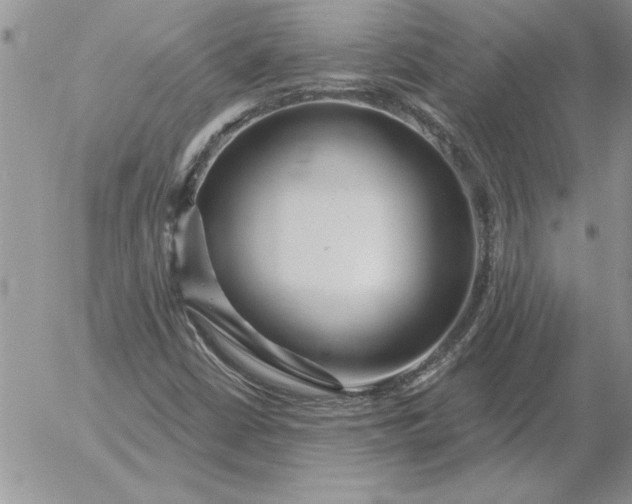 X0000052981402200507221316