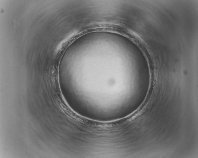 X0000052981403200507221316