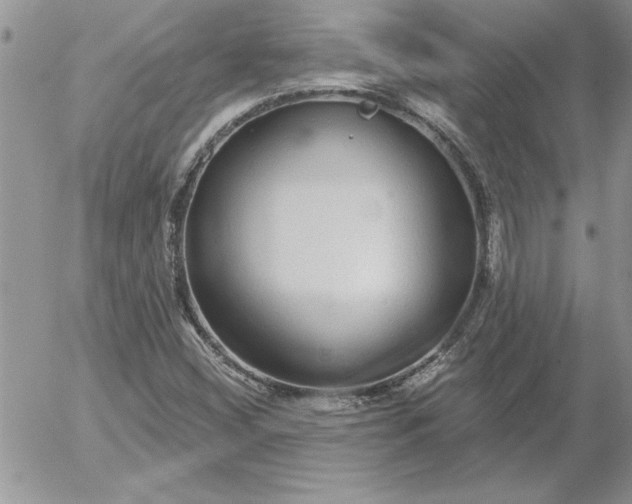 X0000052981404200507221316