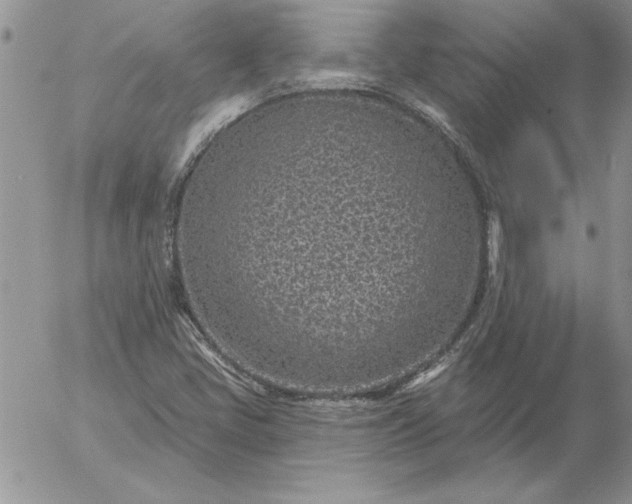 X0000052981405200507221316