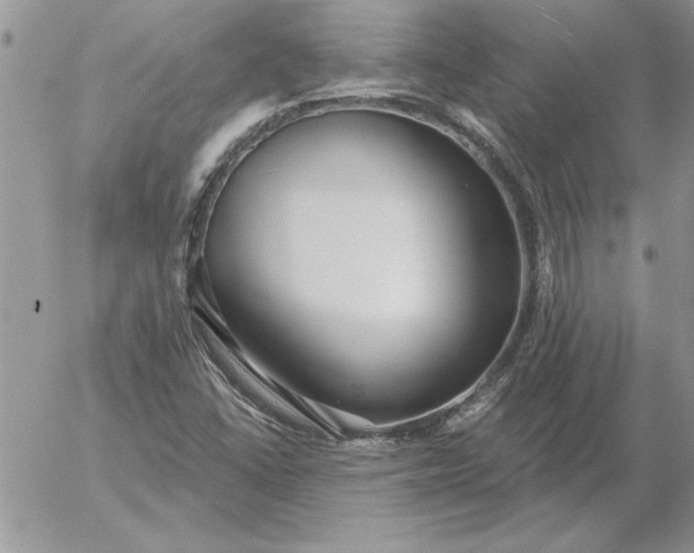 X0000052981406200507221316