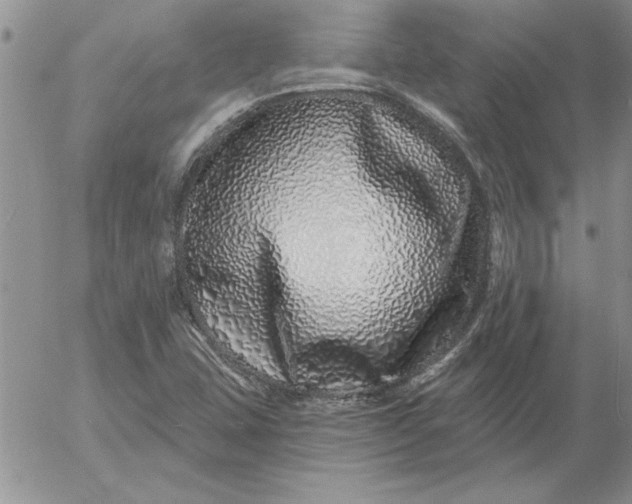 X0000052981407200507221316