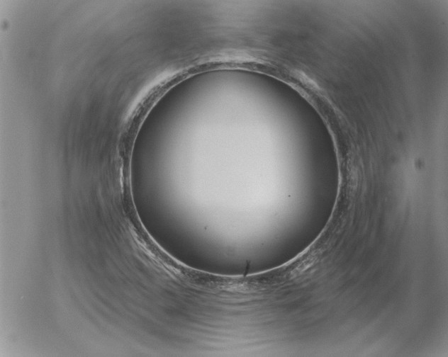 X0000052981408200507221316