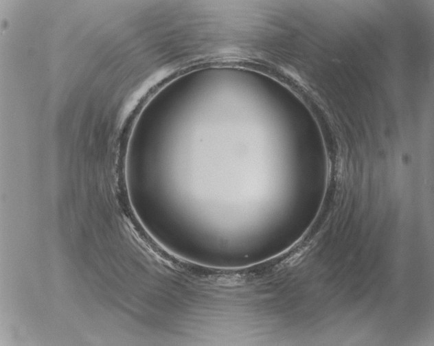 X0000052981410200507221316