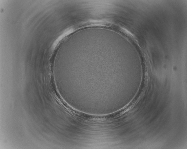 X0000052981411200507221316