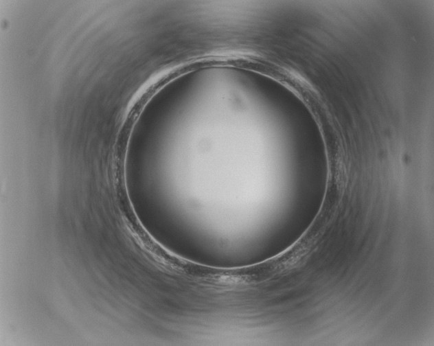 X0000052981412200507221316