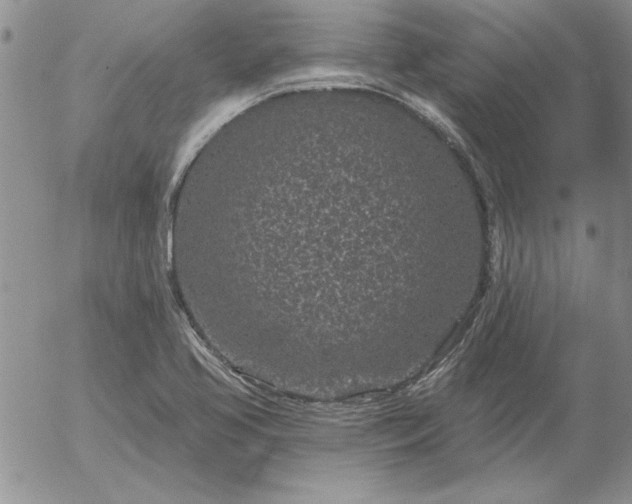 X0000052981413200507221316