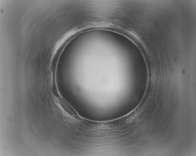 X0000052981414200507221316