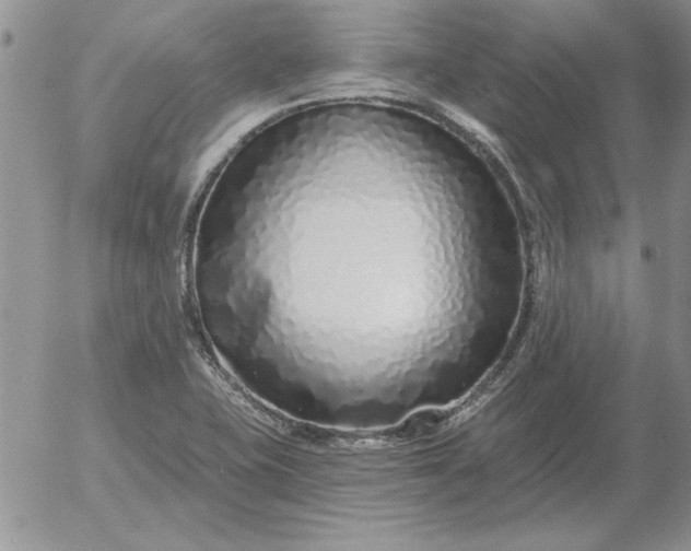 X0000052981415200507221316