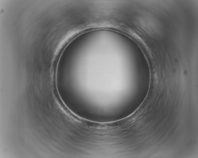 X0000052981416200507221316