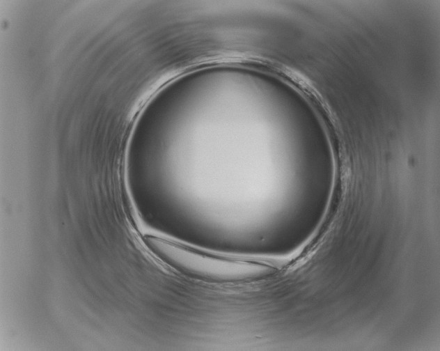 X0000052981417200507221316